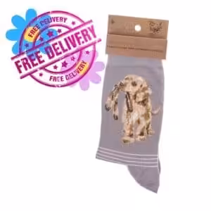 Wrendale Designs – “Hopeful” Grey Labrador Bamboo Socks
